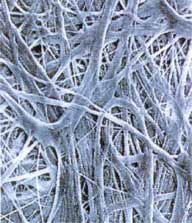Tyvek (тайвек)