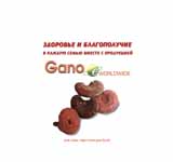 Пакет для компании Райхон
